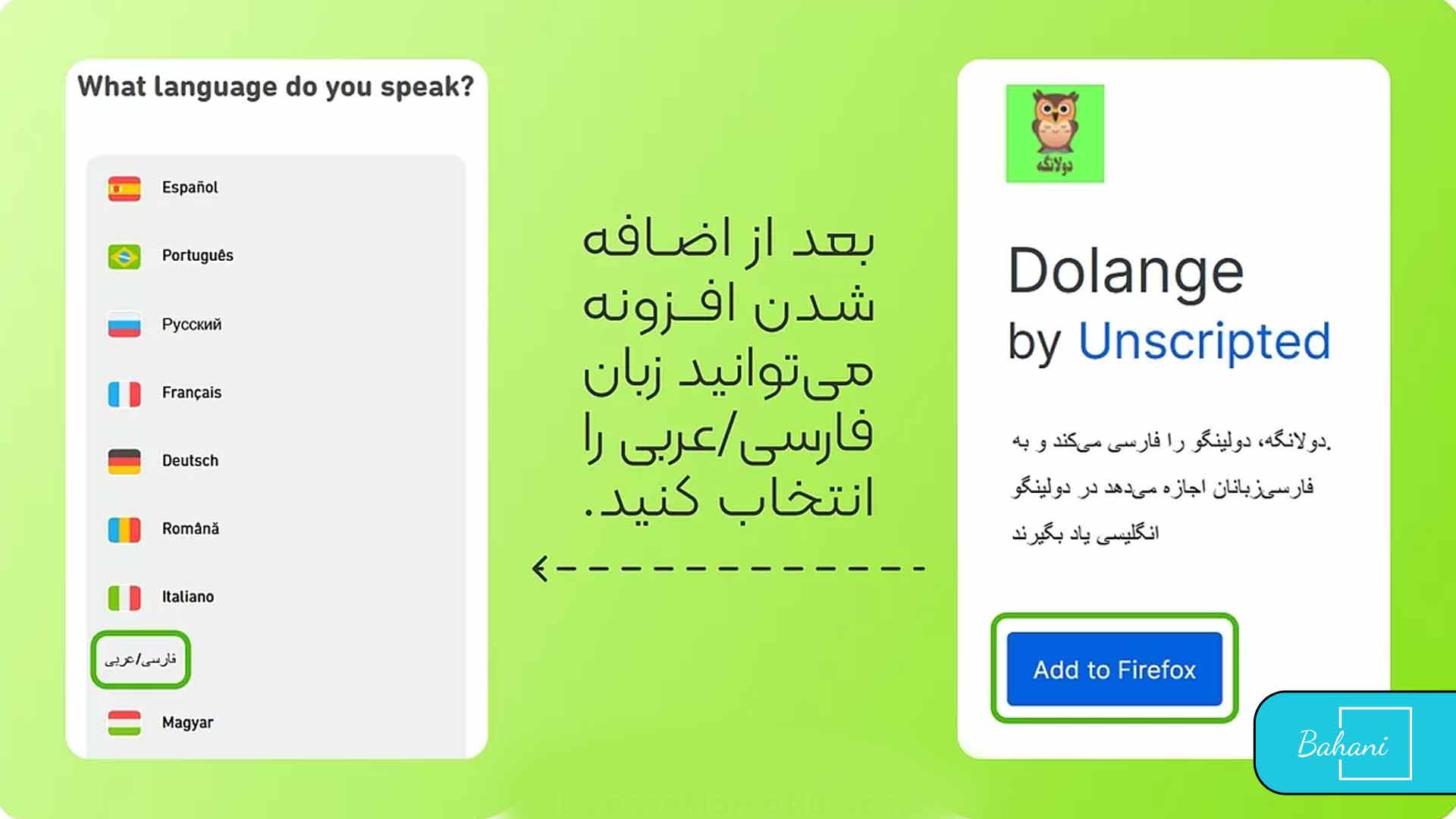 فارسی سازی دولینگو